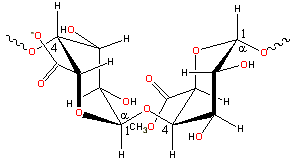 pectin representative structure of smooth bits