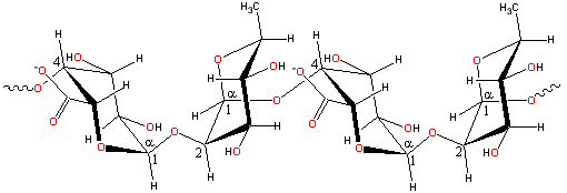 Pectin 'hairy' bits; complex mixed structures