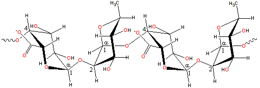 pectin