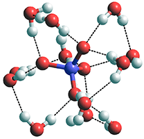 Cluster of 12 water molecules around a triphosphate ion