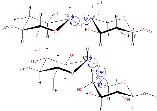 rotations occurring in polysaccharide links