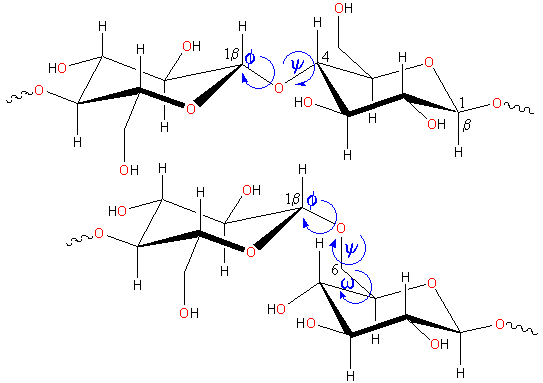 structure of polysaccharide