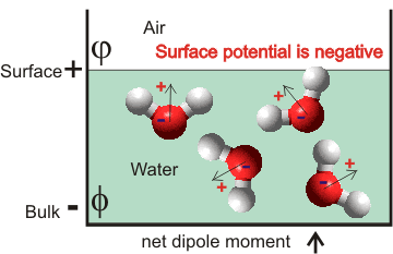 Surface potential convention