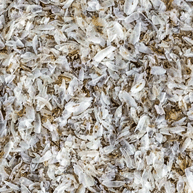 Psyllium husks dietary fiber