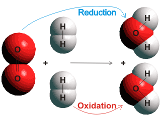 Reduction of oxyggen and oxidation of hydrogen to form water