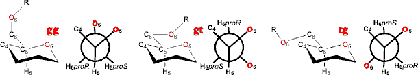 rotamers around the C5-C6 bond