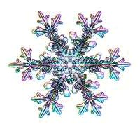 Snow crystal, from SnowCrystals.com