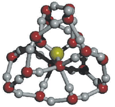cluster of 16 water molecules around a sulfate ion