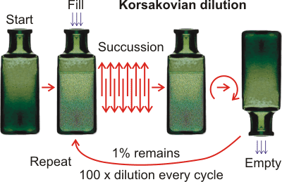 Preparation of a homeopathic product by a sequence of dilutions