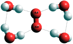 superoxide with 4 water molecules