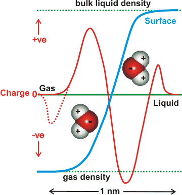 interfacial water surface density and charge profiles