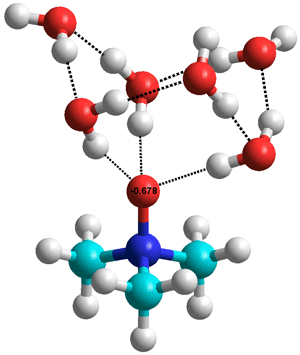 Trimethylamine N-oxide.(H2O)6



showing the water 'chair' hexamer