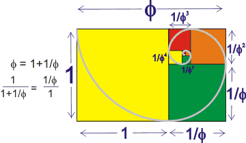Golden rectangle showing sections