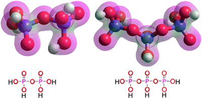 Pyrophosphoric acid and triphosphoric acid