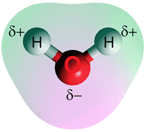 A single water molecule