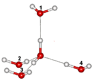 One (1&3) of the six arrangements of hydrogen bonds