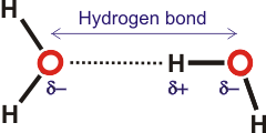 hydrogen bonding: H2O---H-OH dimer