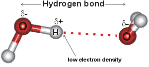 bond covalent bond in water