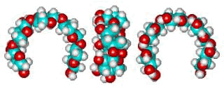 Putative xylan loop structure showing the hydrophobic cavity