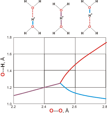 Bond lengths in the H+(H2O)2 ion, from [3299]