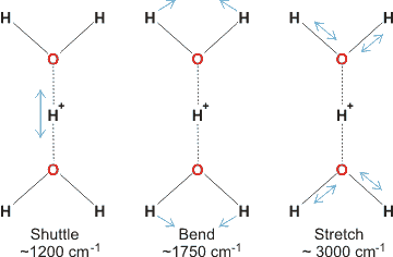 Vibrations of the Zundel cation